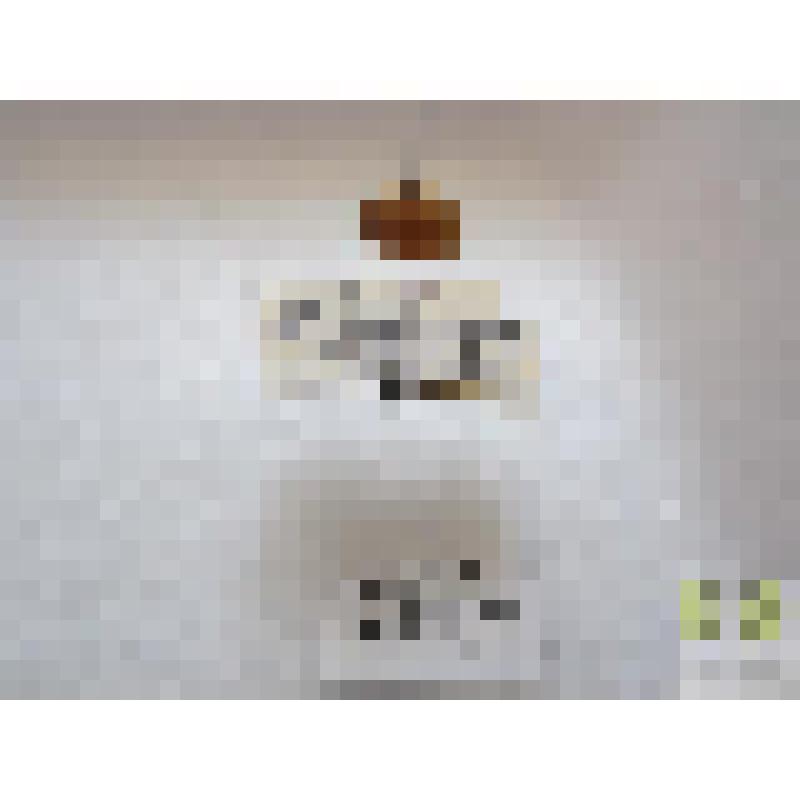 Кальвия 10-точечная  (Calvia guatuordecimguttata Muls.)