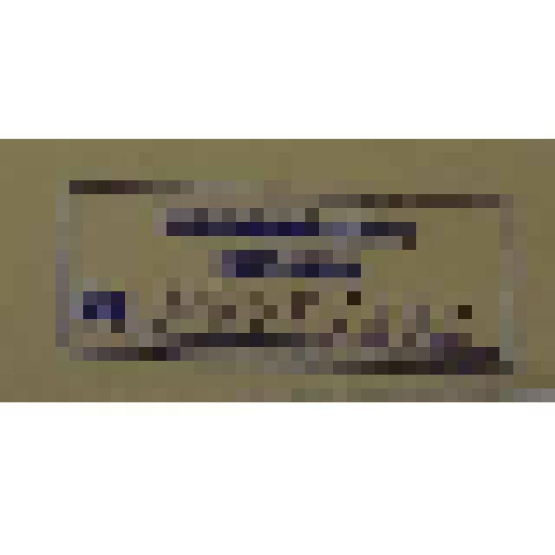 Журнал. Летопись войны с Японией. №51