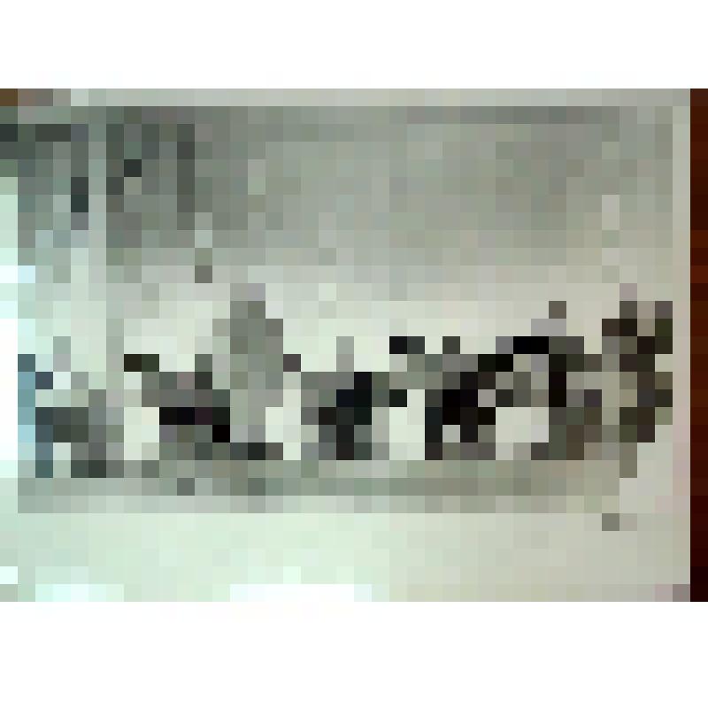 Фото выступлений  оркестра народных инструментов  Дворца культуры им.Гагарина