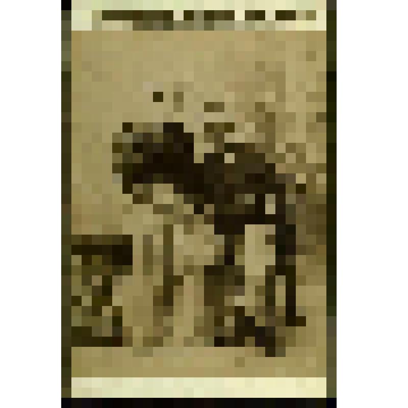 Фотография. Бахрушин А.А. с женой Верой Васильевной в Нижнем Новгороде на Всероссийской выставке