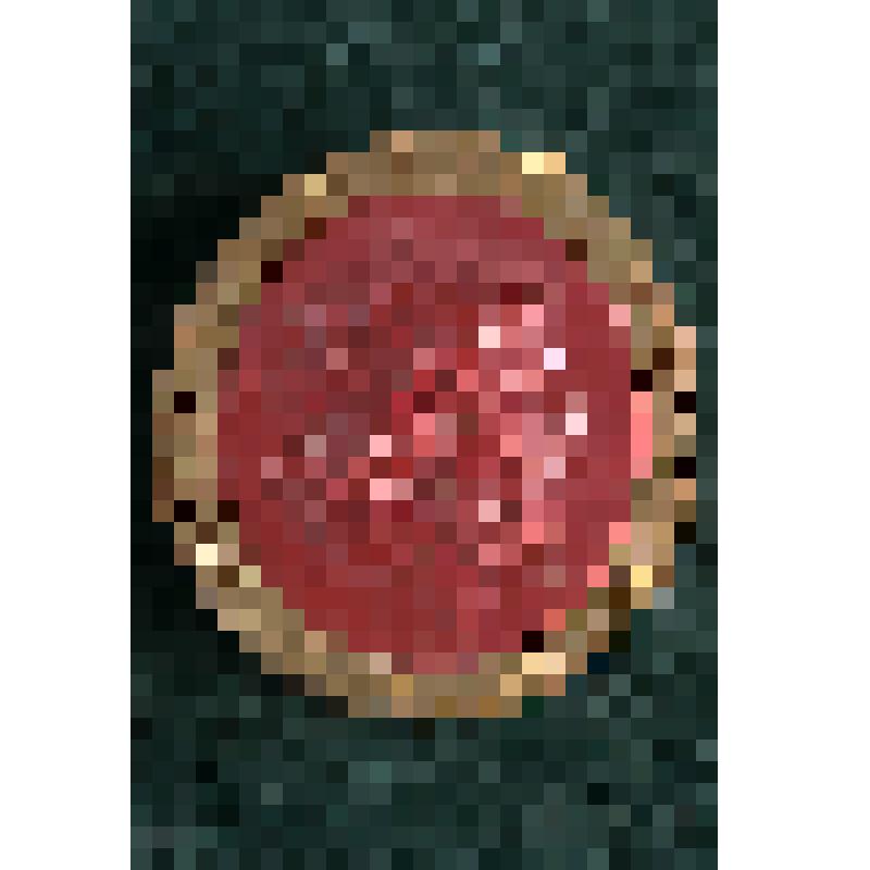 Слепок с геммы. Юпитер