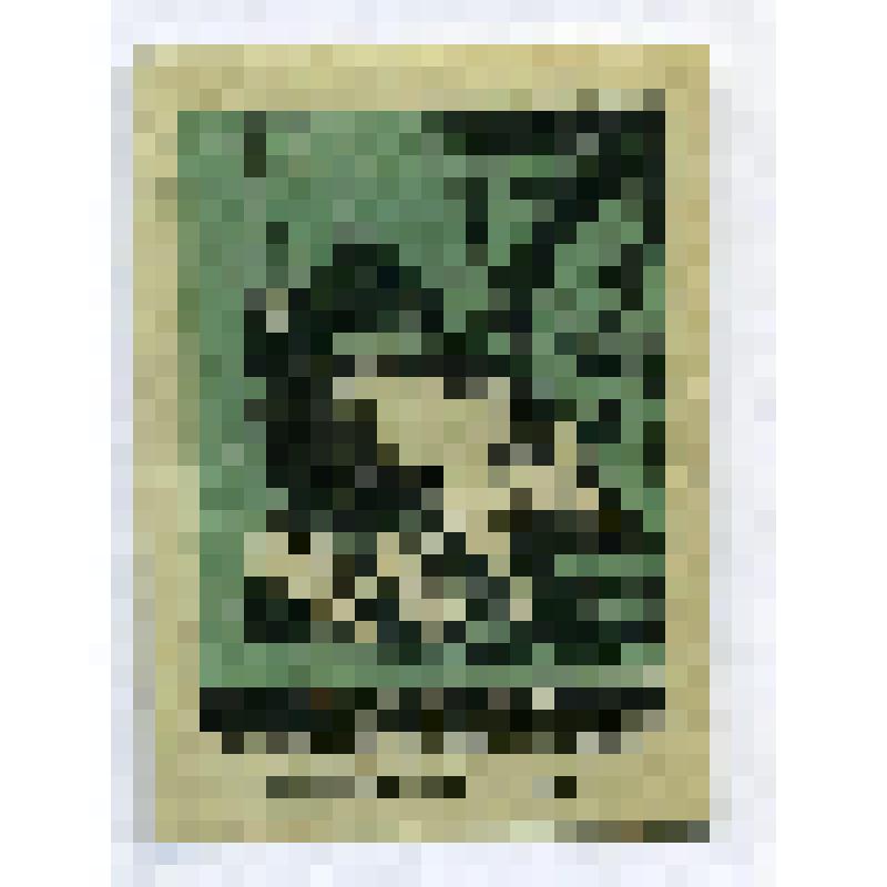 Этикетка спичечная. Кабан