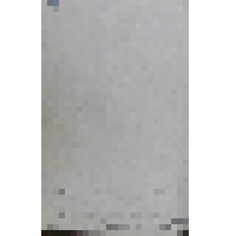 Портрет И.Э.И.Валха?