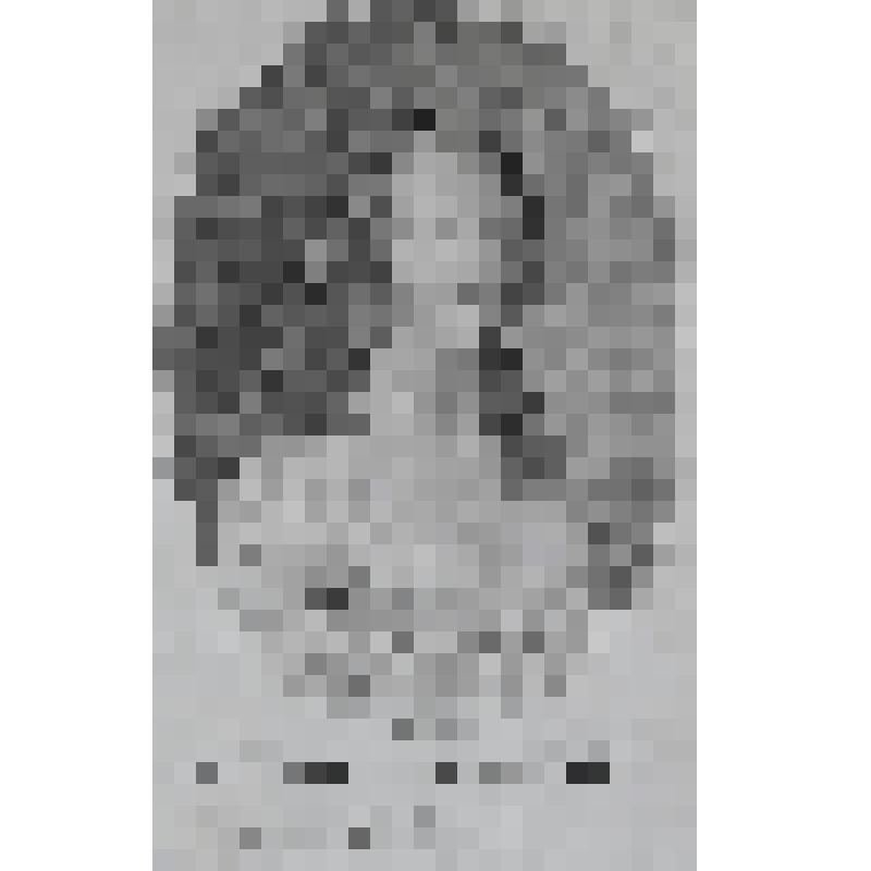 Портрет Нинон де Ленкло