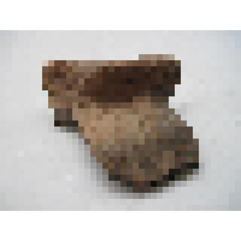 Горшок (фрагмент)