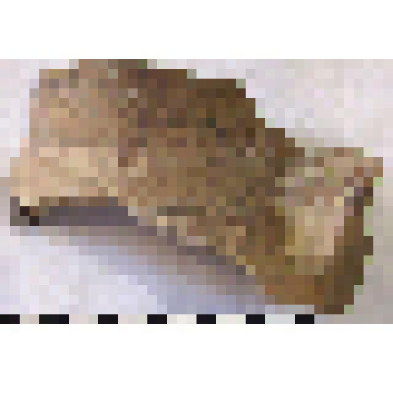 Фрагмент нижней части горла амфоры типа D с дипинто