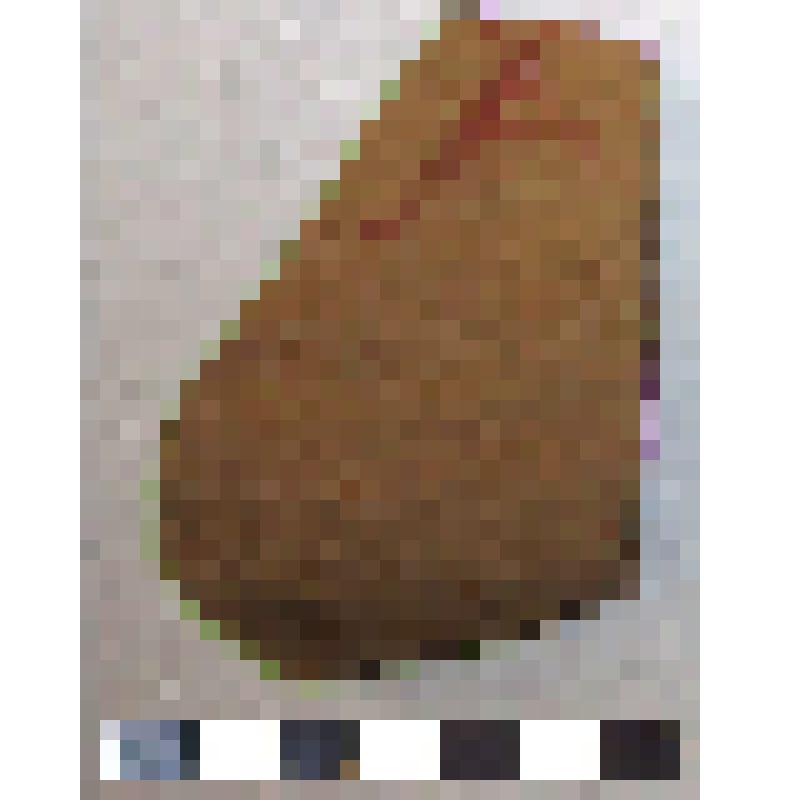 Фрагмент плеча амфоры типа D с дипинто