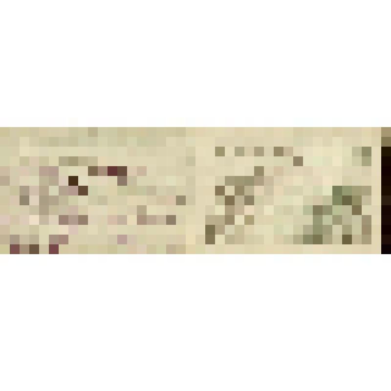 Документ. Билет членский Всероссийского общества охраны памятников истории и культуры Хохриной Изабеллы Трифоновны