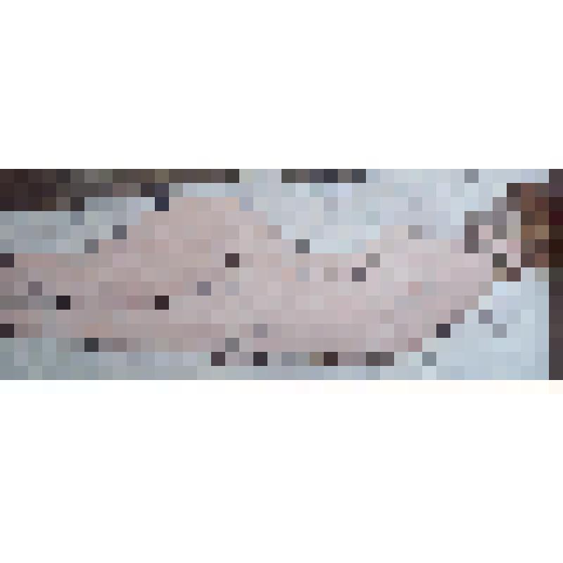 Картина. Большая обнаженная