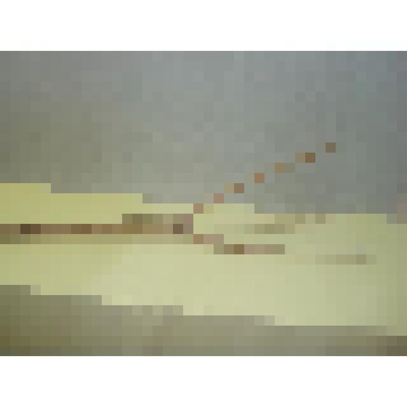 Вилы деревянные