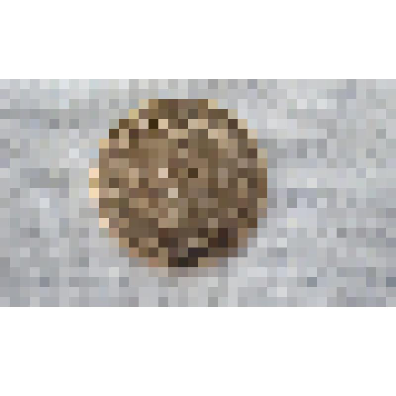 Монета. 5 копеек. СПБ-НГ. Гурт пунктирный. Россия