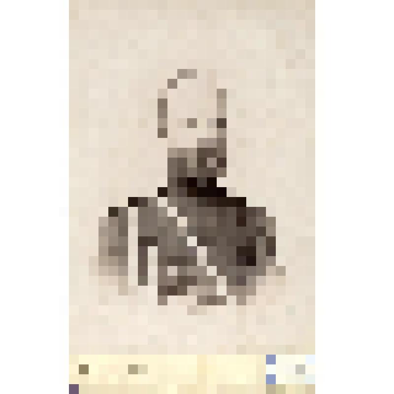 Фотография черно-белая. Новогребельский Константин Станиславович