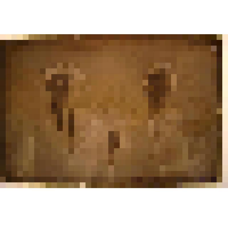 Негатив. Портрет парный погрудный мужчин