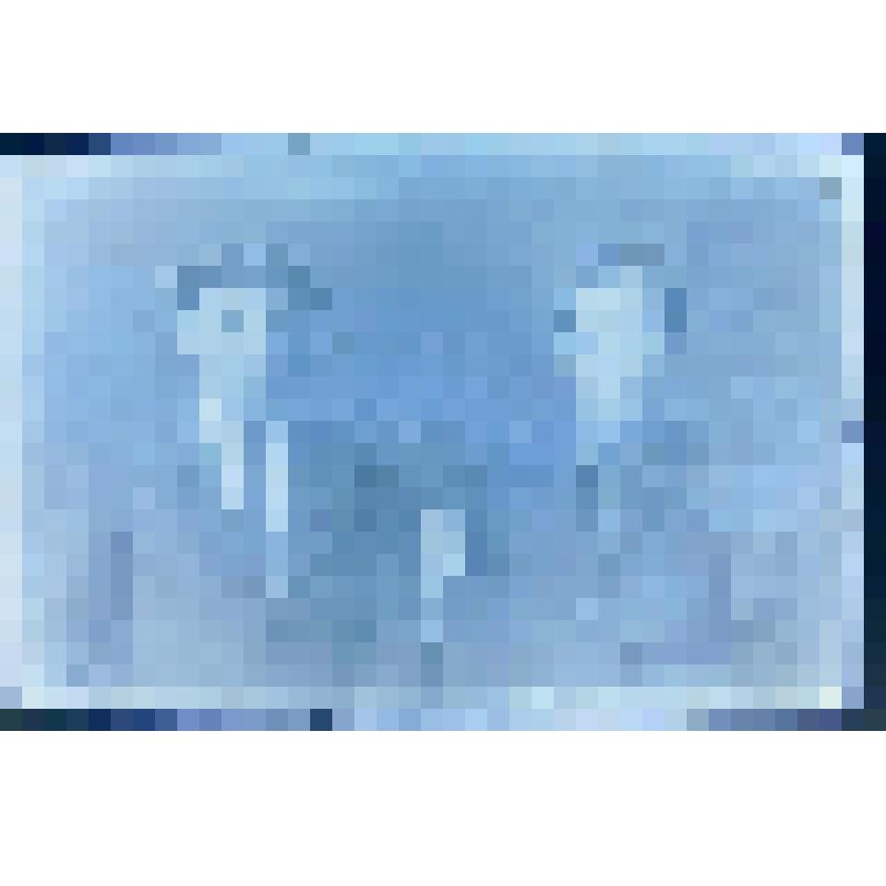 Негатив. Портрет парный погрудный мужчин