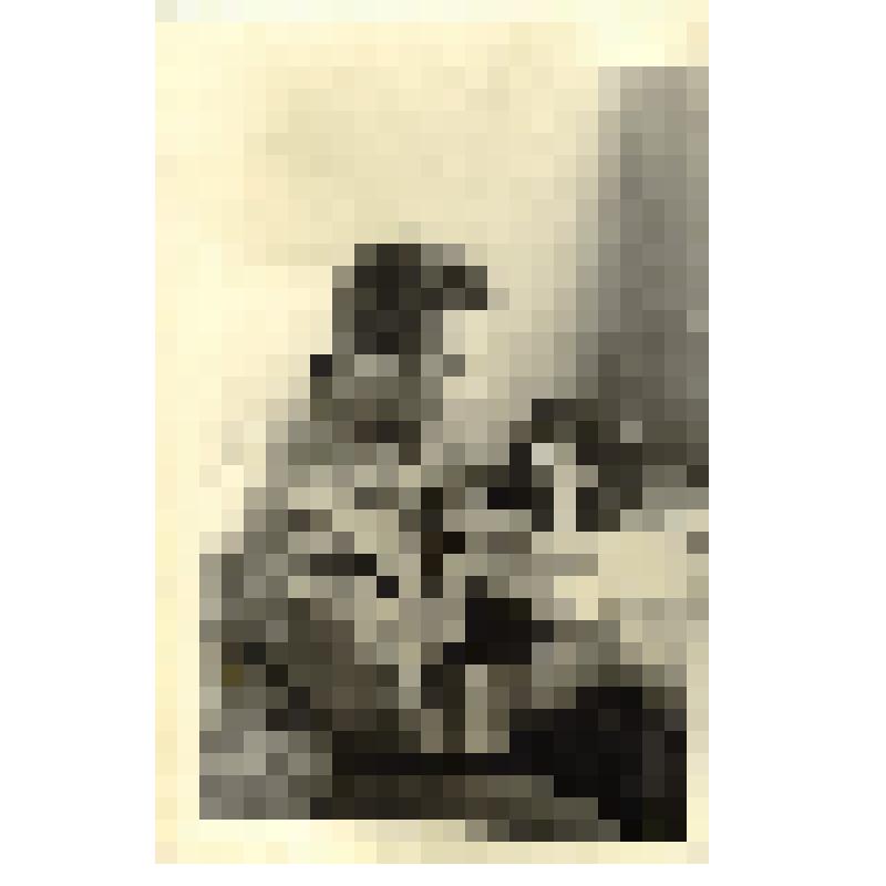 Фотография. Нефтекумский газоперерабатывающий завод. Старший оператор комбинированной установки КУ-4 Магда Е.Е. на диспетчерском пункте у микрофона. Ставропольский край, Нефтекумский р-н,  г. Нефтекумск, 1971 г