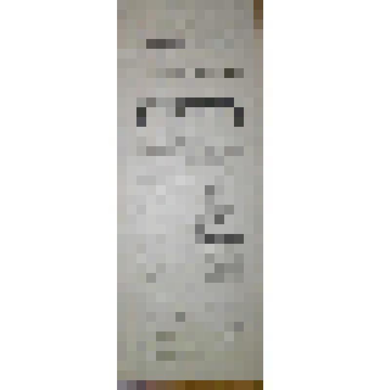 Программа с исполнителями. "Гувернер" (Режиссер - П.М.Корсаков). Архангельск, Городской театр; Антреприза, Труппа русских драматических артистов