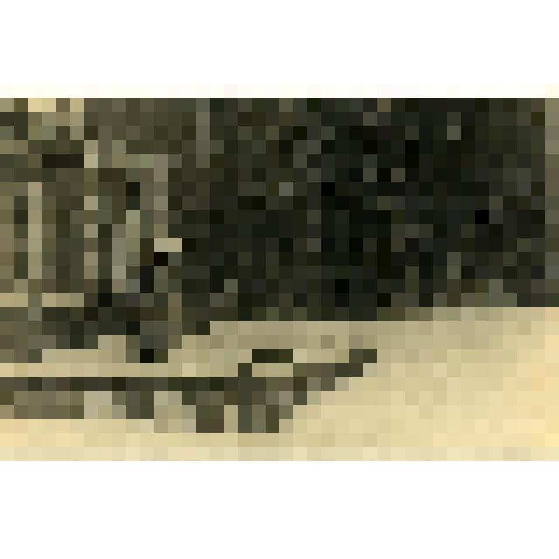 Фотография. Мураново. Могила Ивана Фёдоровича Тютчева около восточной стены церкви
24 марта 1946 г