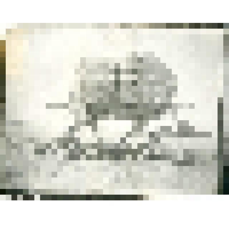 Фотография. Лабаз на Ляховском острове