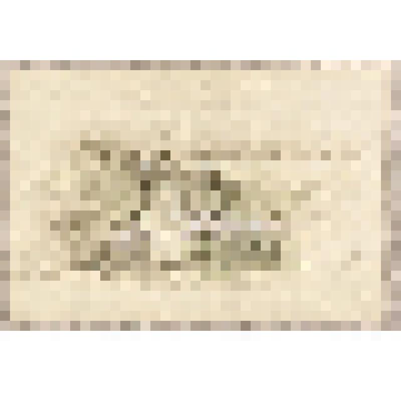 Вид на Волгу, из альбома  «190 пейзажей; зарисовки, иллюстрации, карикатуры»