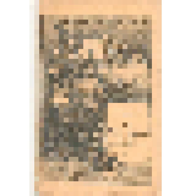 Журнал "Всемирная история" « Выпуск 17-й.1903 г. III Новое время(Кн 7-я.). ( Стр.497-576 и 16 стр.иллюстраций: стр.81-96,рис.226-270.)» Общеполезная Библиотека Родины, издание А.А.Каспари