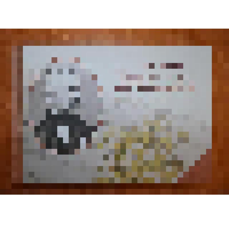 Книга. "Частная жизнь графа Орлова-Давыдова, или одно удивительное лето"( письма, дневники)