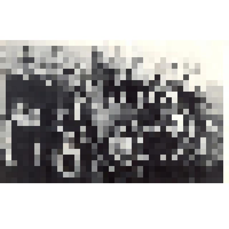 Групповой снимок коллектива педагогов СШ № 34 в знаменном зале – 36 человек. На стене изображены солдаты с винтовками и конница времен Гражданской войны