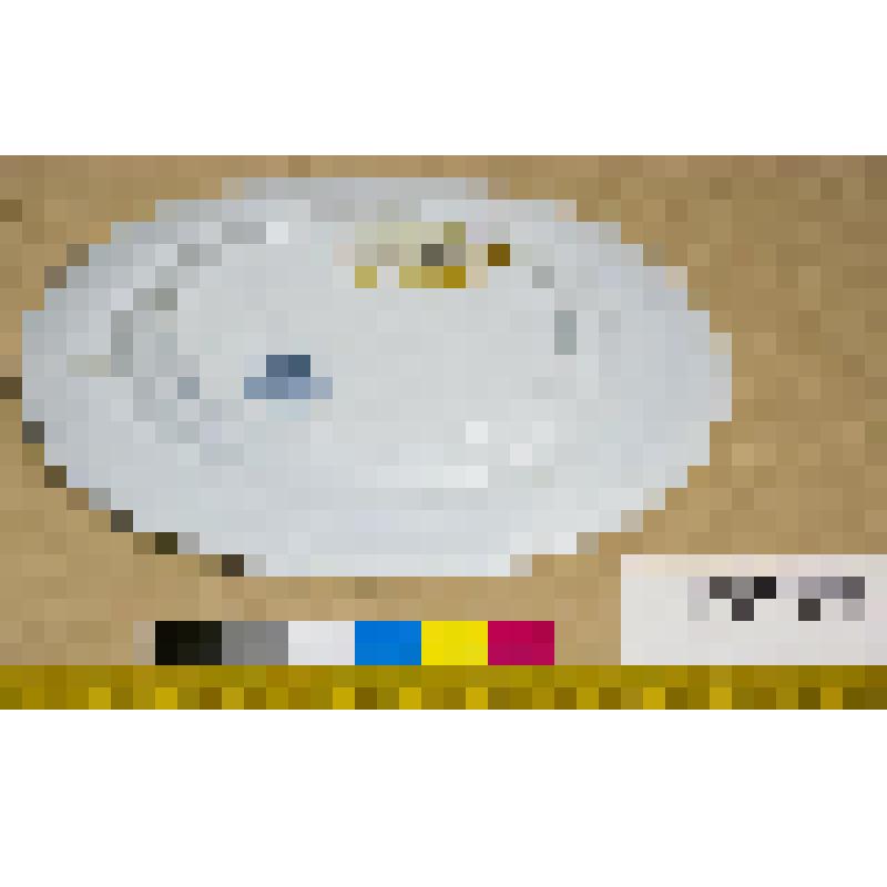 Тарелка десертная фаянсовая, белая, со смешанным орнаментом синего цвета, из столового сервиза "Lima"