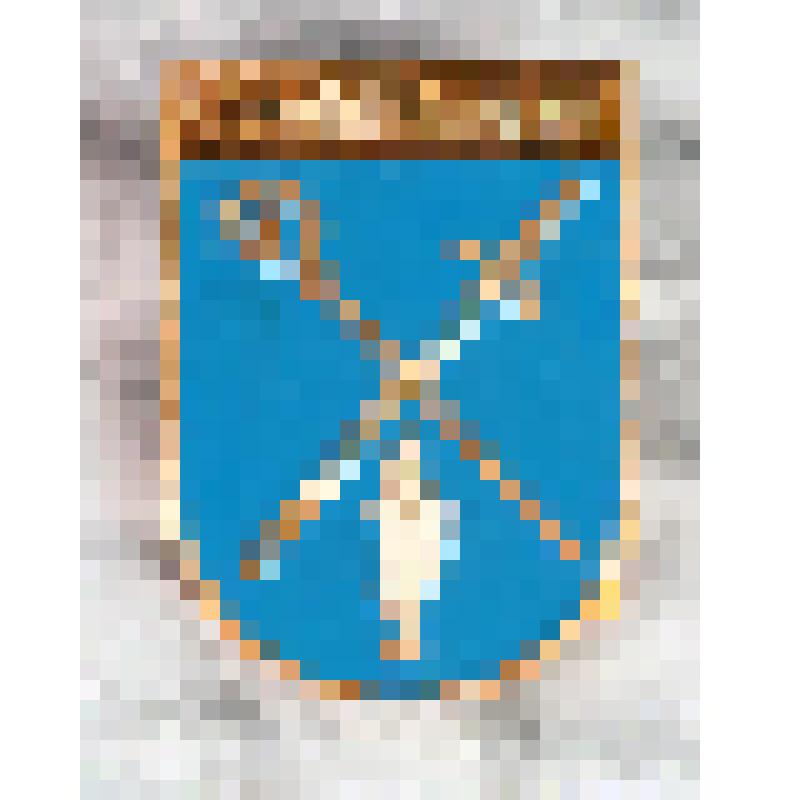 Коллекция значков из серии "Гербы  городов Восточной Пруссии". Значок Fischhausen (Приморск)