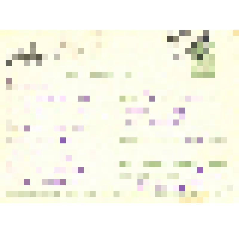 Открытка. Карточка почтовая. С Новым годом!