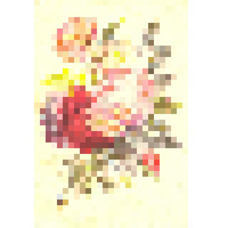 Почтовая карточка