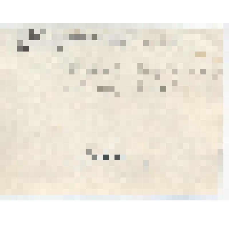 Фотография. Первая нефть пришла на Киришский нефтеперерабатывающий завод