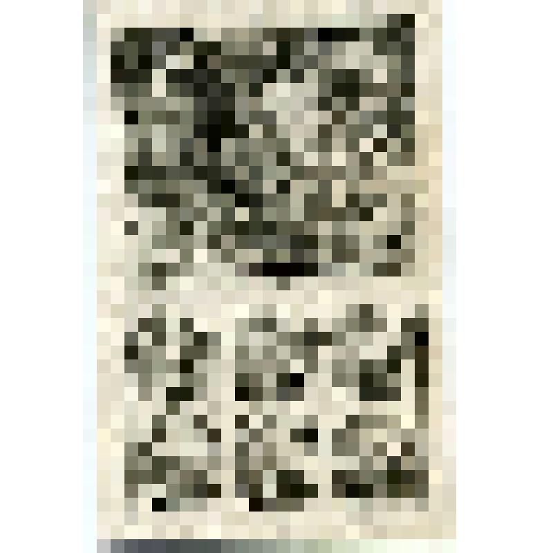 Офорт. Лист 186. Иллюстрации к Откровению святого Иоанна Богослова