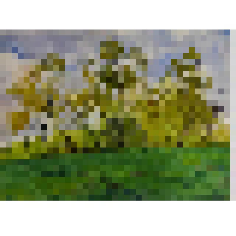 Акварель. Май месяц. Из серии «Подмосковье»