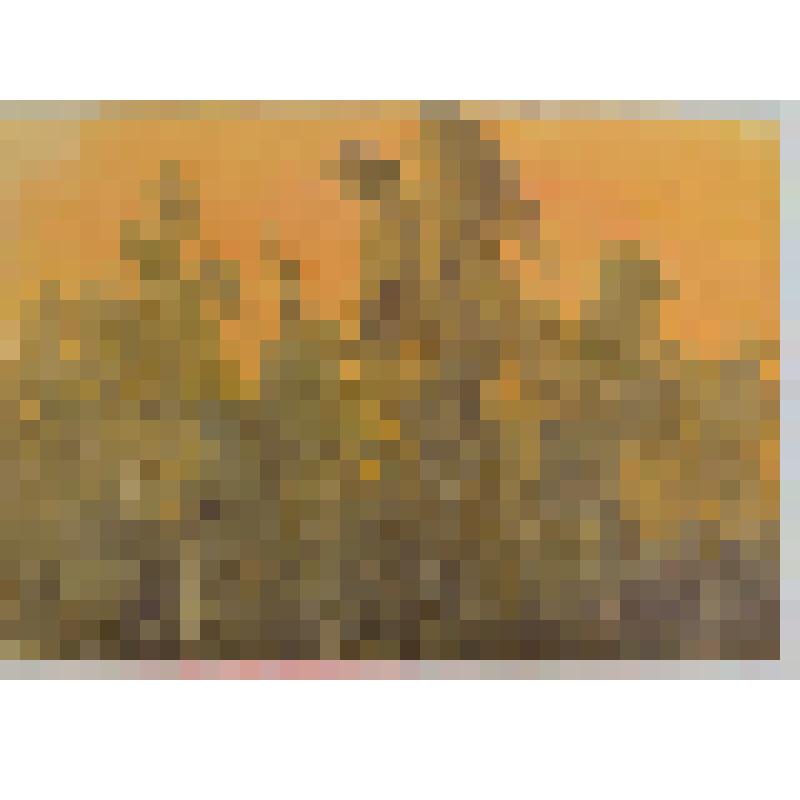 Акварель. Розовый вечер