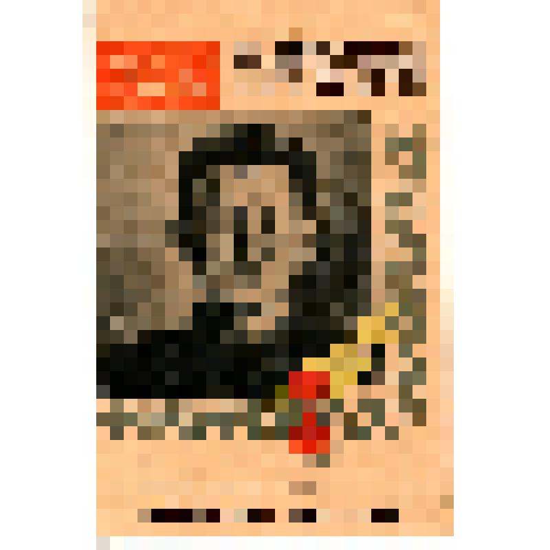 Главное политическое управление Красной армии. Герои Отечественной войны. Герой Советского Союза Дуйшонкул Шопоков. (один из 28 героев-панфиловцев) (на кирг. яз.)