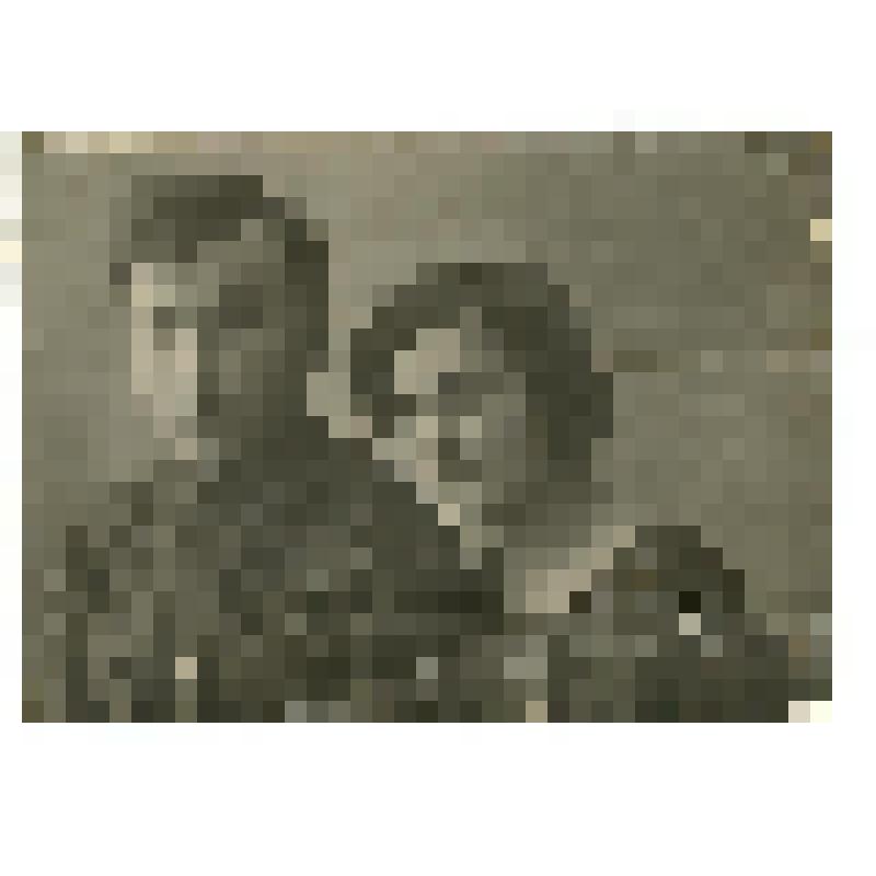 Фотопортрет двойной. Супруги Петр Гаврилович Пересада и Берта Михайловна Пересада