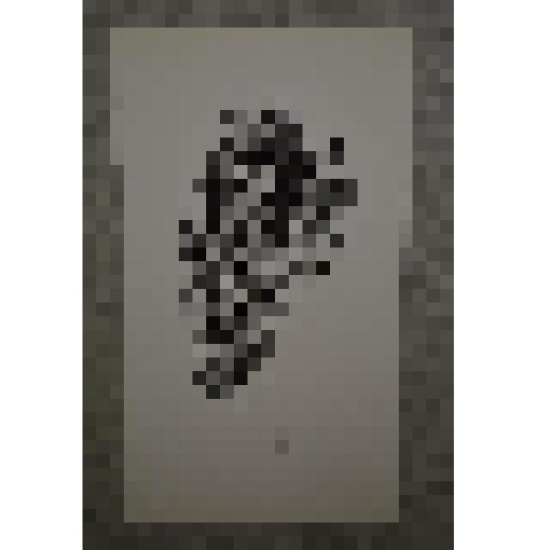 Экслибрис. Экслибрис Д.А.Мизгулина. (Пегас)