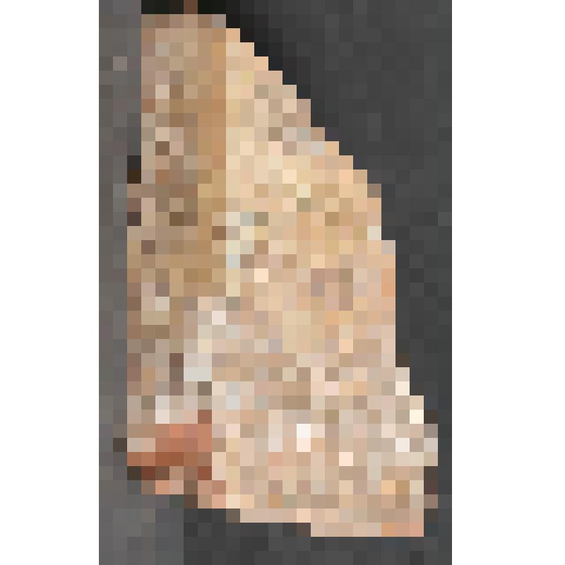 Изразец печной угловой стенной расписной. Фрагмент: левый край