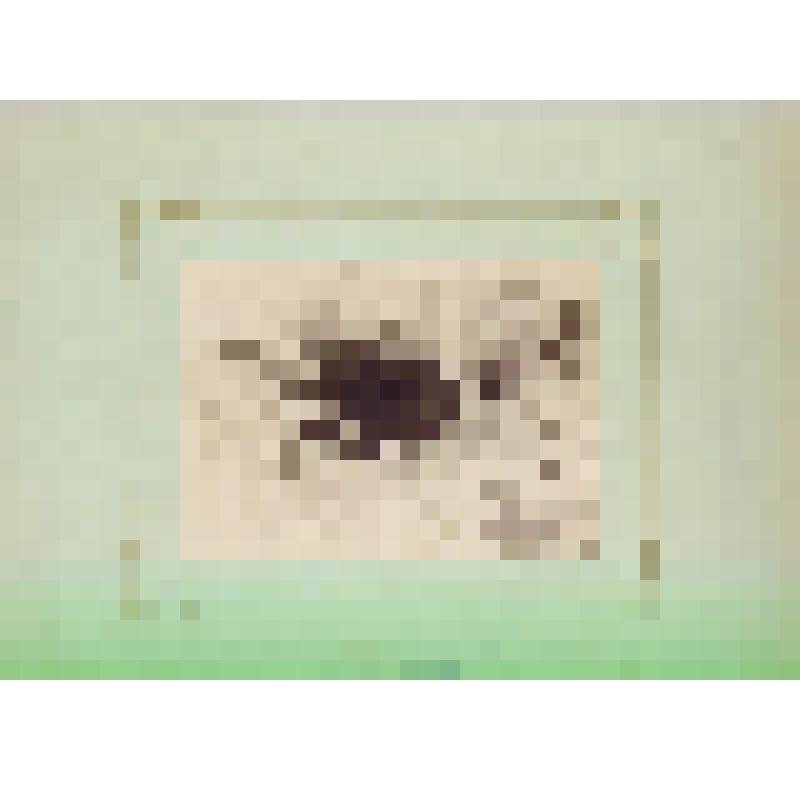 Фотография. Старая штольня, где работали декабристы