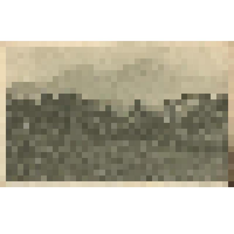 Ессентуки. Вид на гору Бештау