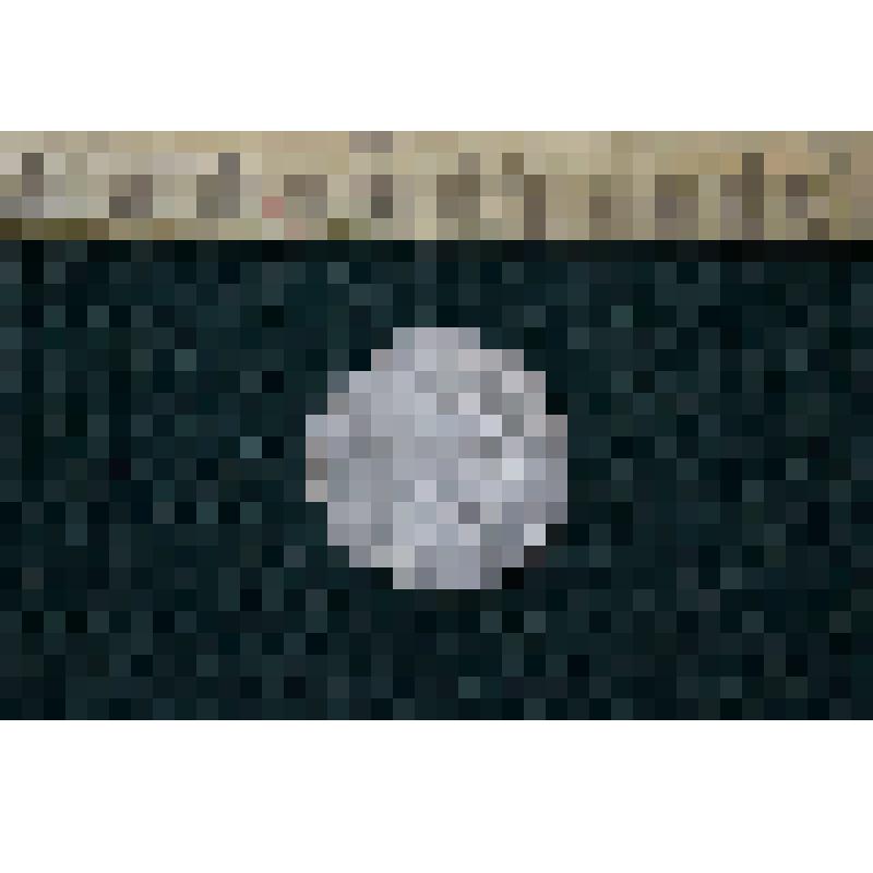 Монета Пражский грош