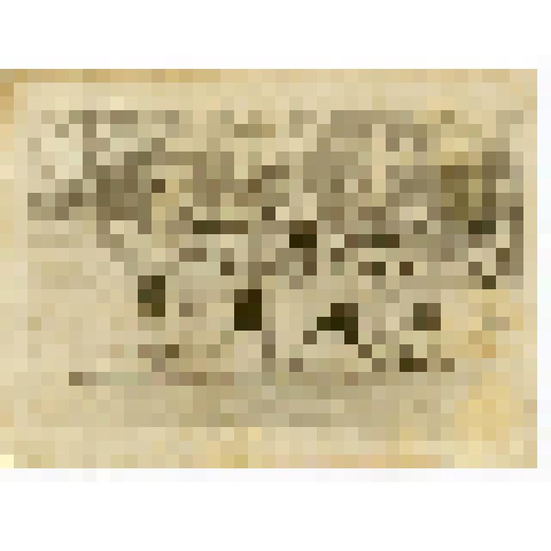 Фотография. На занятиях гимнастикой в летних лагерях Саратовской спецшколы ВВС № 8 на Кумысной поляне