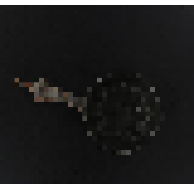 Няшик ложчатой формы