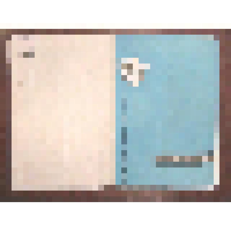 Буклет спектакля "Заровеното Слънце". На болгарском языке