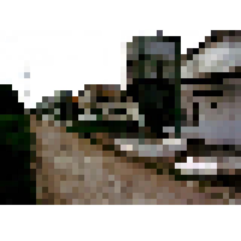 ППФ "Дон". Корпуса ремонтного молодняка и взрослого поголовья