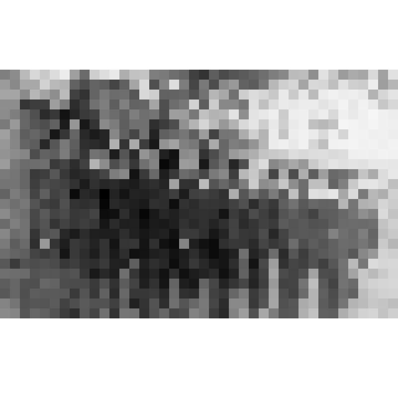 Отдел уголовного розыска г.Азова перед строевым смотром. Третий слева - Тращенко П.Ф