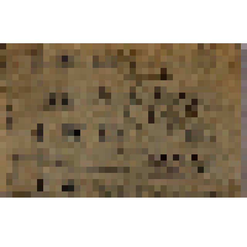 Карточка на хлеб на июль 1945 г. Соколовой. Норма - 700 грамм в день