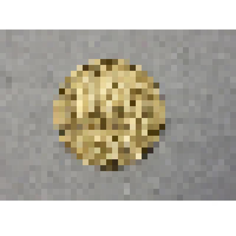 Монета достоинством 15 копеек