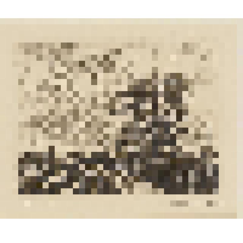 Осень, гравюра