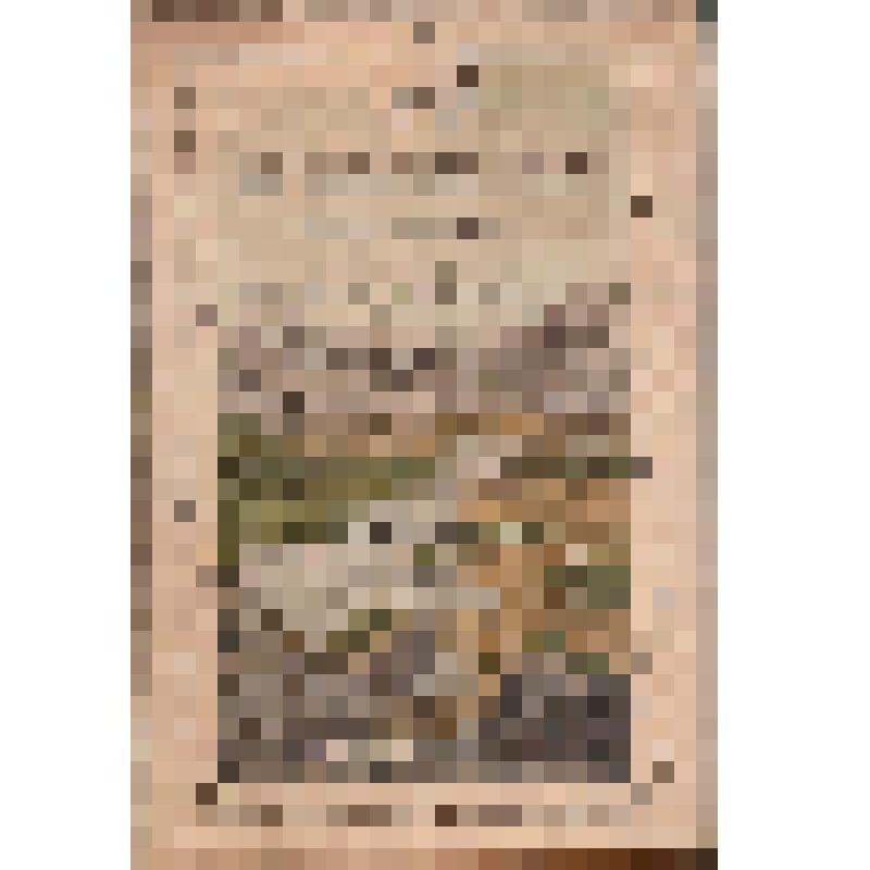 Иллюстрированная карта. Закавказский край. Из комплекта: Альбом географических карт России или детский гран-пасьянс